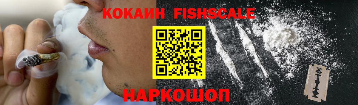 Cocaine FishScale Сыктывкар