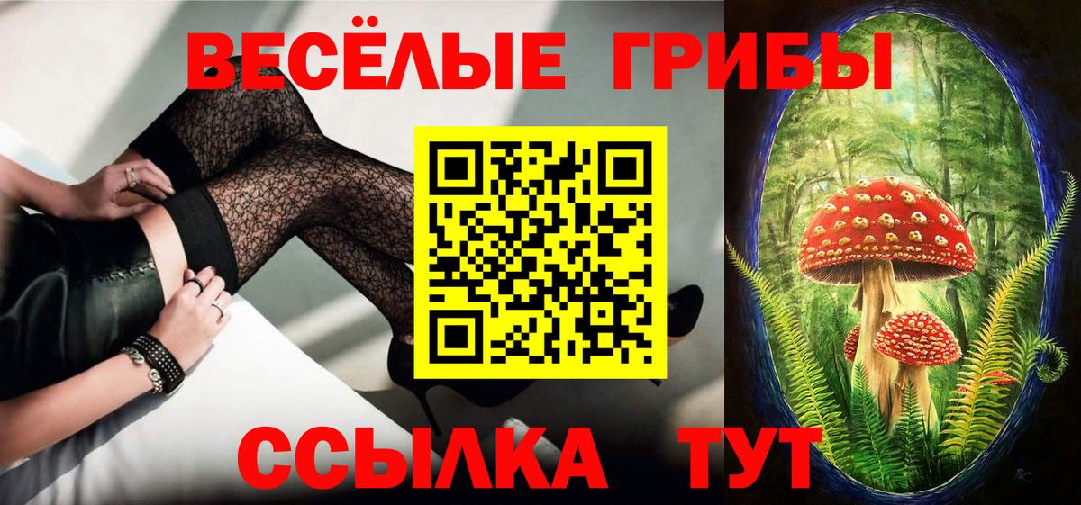 Псилоцибиновые грибы мицелий Сыктывкар