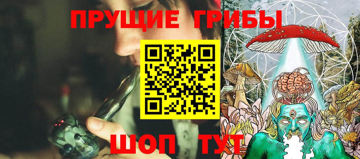 Сыктывкар  Галлюциногенные грибы Psilocybine cubensis  Вход с VPN 